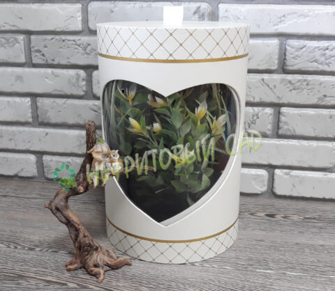 Коробка подарочная, 