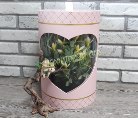 Коробка подарочная, 