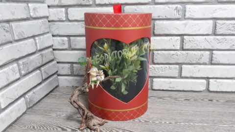 Коробка подарочная, 