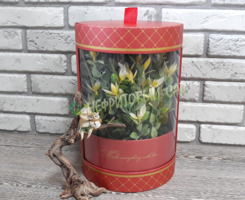 Коробка подарочная, 20x20x30.5cm, красный