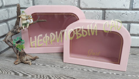 Набор коробок (2шт) L:24x18.5x10cm, S:20x14.5x9cm розовый