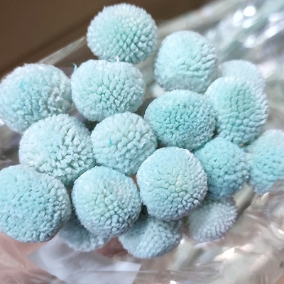 Краспедия 50-53см, 20шт/упак, тиффани