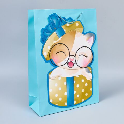 Пакет подарочный 