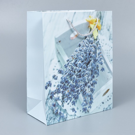 Пакет подарочный 