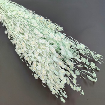 Лунария 70см, 80г, тифани