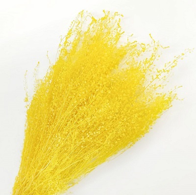 Грин белл,60 см,55 г,жёлтый