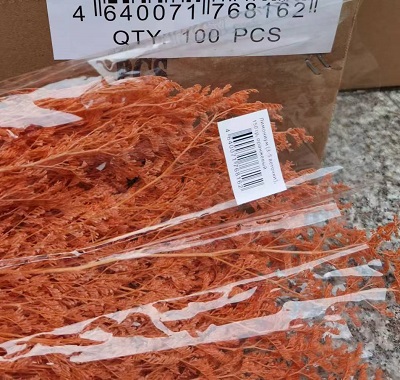 Лимониум 70-75см, 150гр, 3-5 шт/упак, оранжевый