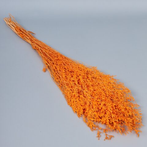 Лимониум 70-75см, 150гр, 3-5 шт/упак, оранжевый