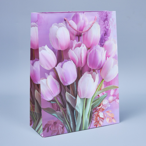 Пакет подарочный 