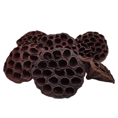 Лотос 10 шт/уп, натуральный