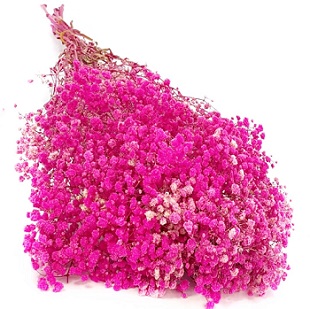 Гипсофила Мирабелла 70см, 120г, ярко-розовый