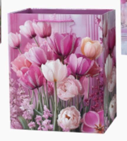 Пакет подарочный 