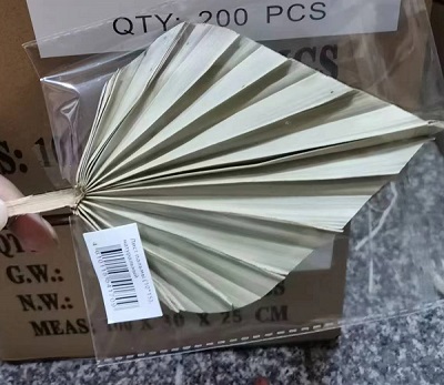 Лист пальмы 10*15см, натуральный