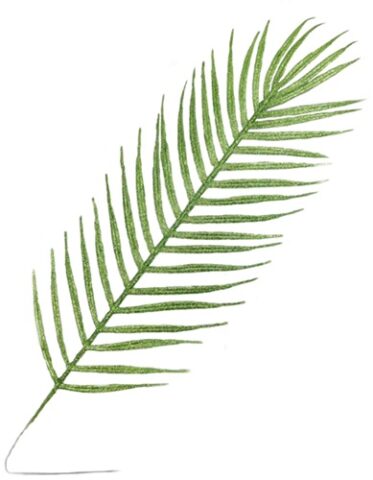 Лист с глиттером, 18*58см, зелёный