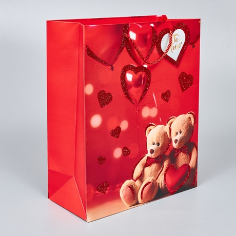 Пакет подарочный 