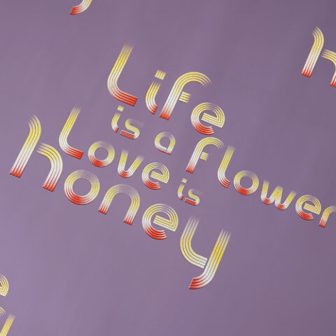 Набор пленки 