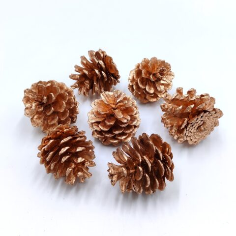 Набор шишек D4-5см/H4-5см, 0,5кг, золото