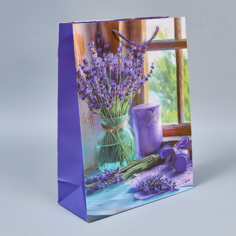 Пакет подарочный 