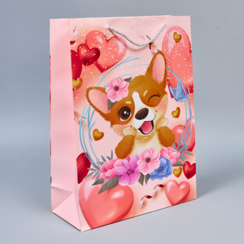 Пакет подарочный 