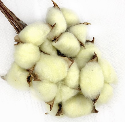 Хлопок (10шт в 1 букете) 25см, Жёлтый