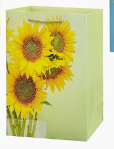 Пакет подарочный 