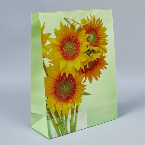 Пакет подарочный 