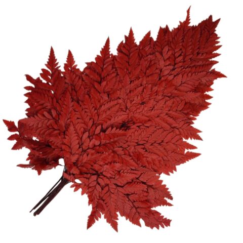 Папоротник 45см, 10шт/упак, бордовый