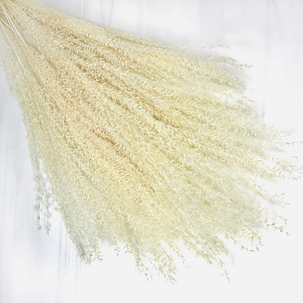 Пампасная трава 67-70см, 10шт/упак, белый