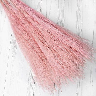 Пампасная трава 67-70см, 10шт/упак, ярко-розовый