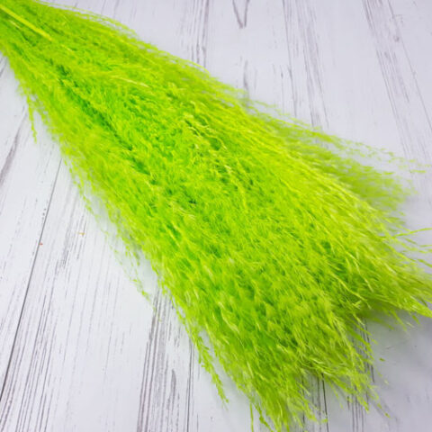 Пампасная трава 67-70см, 10шт/упак, салатовый