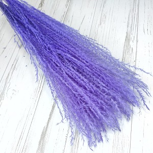 Пампасная трава 67-70см, 10шт/упак, сиреневый