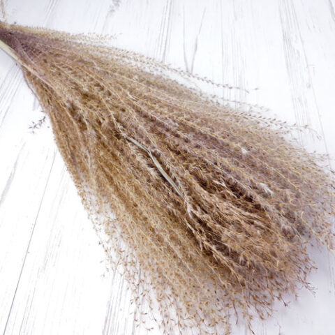 Пампасная трава 67-70см, 10шт/упак, светло-коричневый