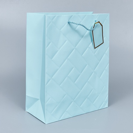 Пакет подарочный 