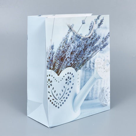 Пакет подарочный 