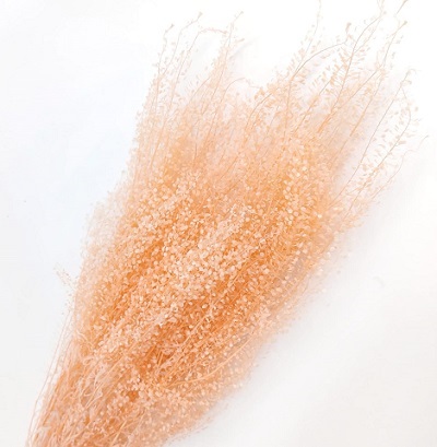 Грин белл,60 см,55 г,персиковый