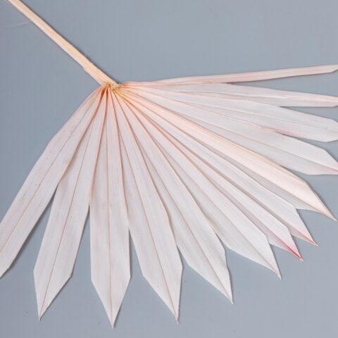 Лист пальмы Sun Spear, нежно - розовый