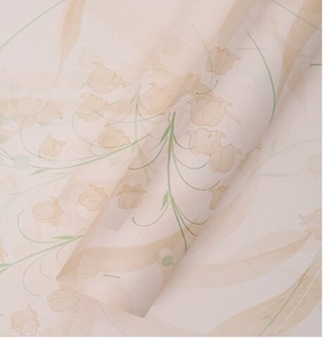 Набор пленки 