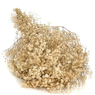 Гипсофила Мирабелла 70см, 120г, натуральный