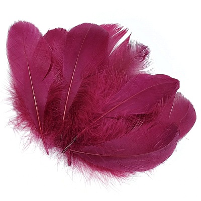 Перо гусиное 10-15 см, упак 20 шт, винный