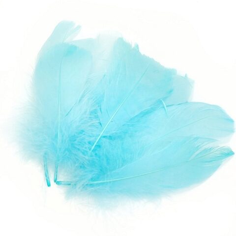 Перо гусиное 10-15 см, упак 20 шт, голубой