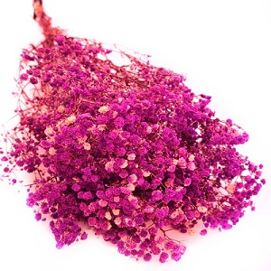 Гипсофила Мирабелла 70см, 120г, фуксия