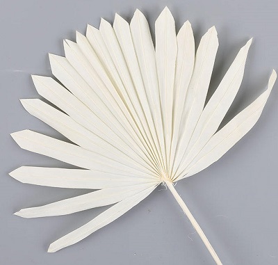 Лист пальмы Sun Spear, выбеленый