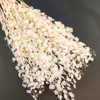 Лунария 70см, 80г, персиковый