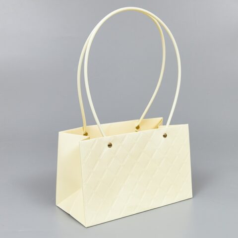 Картонный пакет с ручками 