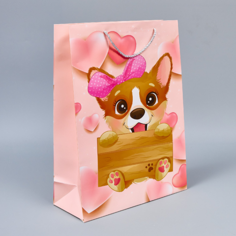 Пакет подарочный 