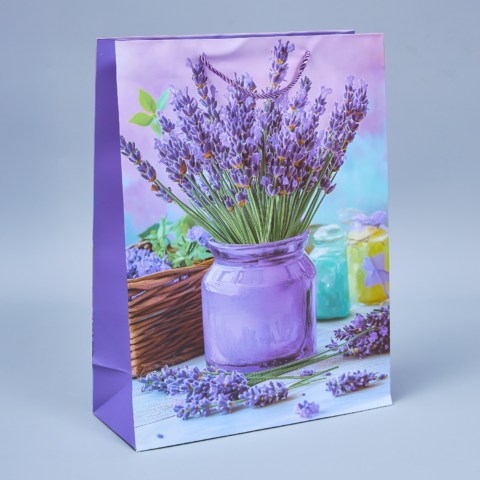 Пакет подарочный 