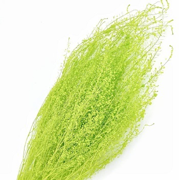 Грин белл,60 см,55 г,салатовый