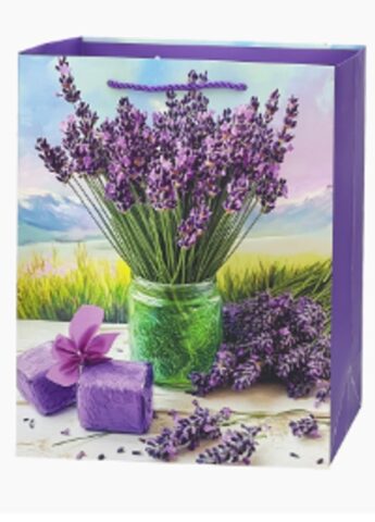 Пакет подарочный 