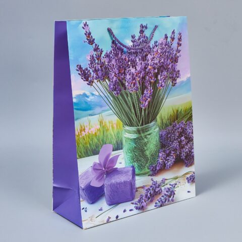 Пакет подарочный 