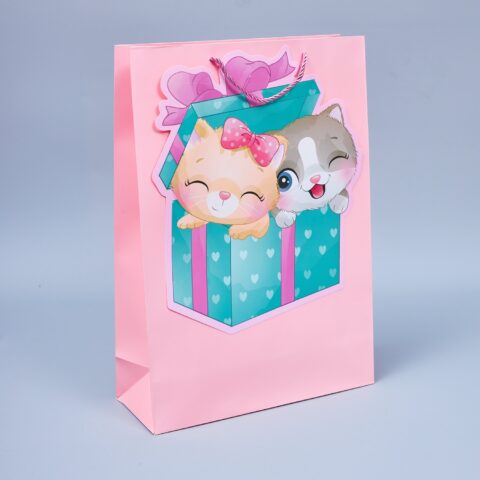 Пакет подарочный 